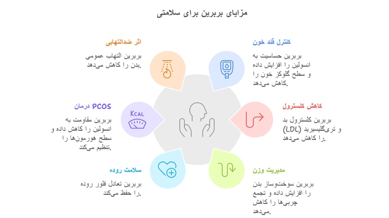 معرفی ۳ قرص بربرین خارجی برتر ۲۰۲۵