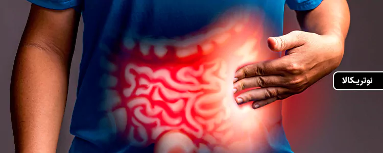 مکمل DS-01 Daily Synbiotic از برند Seed