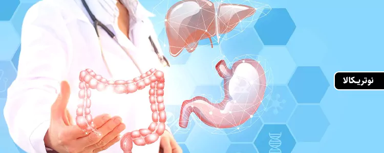 مکمل سرکه سیب با فلفل کاین از برند Sports Research