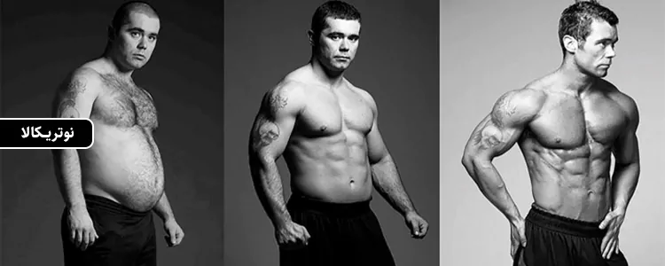 مکمل CLA - 1250 mg با اسید لینولئیک کنژوگه از برند Sports Research