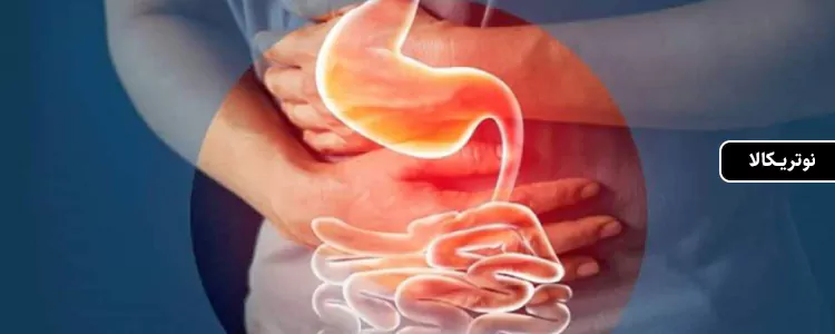 مکمل پروبیوتیک با پریبیوتیک از برند Sports Research