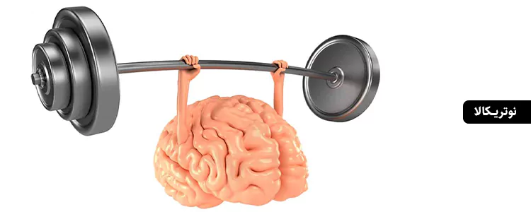 مکمل L-Theanine با کافئین و روغن MCT نارگیل از برند Sports Research