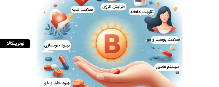 مکمل ویتامین B-کامپلکس از برند Sports Research