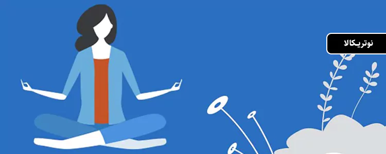 مکمل Lions Mane Plus از برند Focus Factor