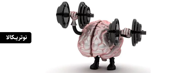 مکمل Ultra High Purity Alpha GPC از برند Toniiq