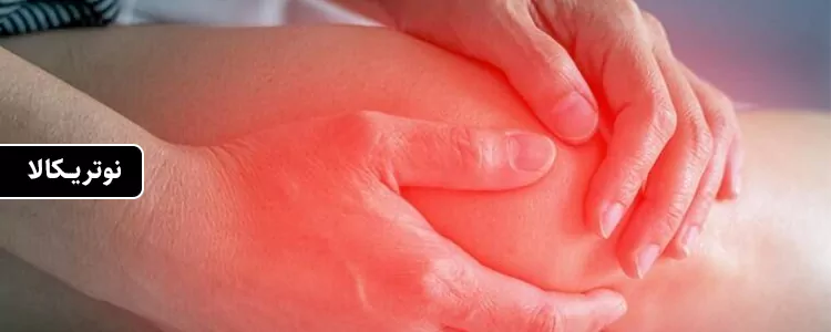 مکمل Ultra High Purity Quercetin از برند Toniiq