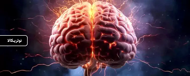 مکمل Daily Omega Kids با طعم میوهای طبیعی از برند Nordic Naturals