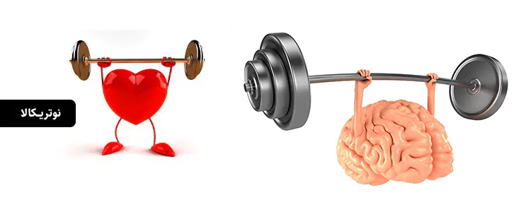 مکمل Ultimate Omega Xtra با طعم لیمو از برند Nordic Naturals