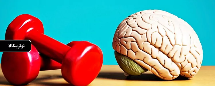 مکمل Ultimate Omega + CoQ10 با طعم لیمویی از برند Nordic Naturals