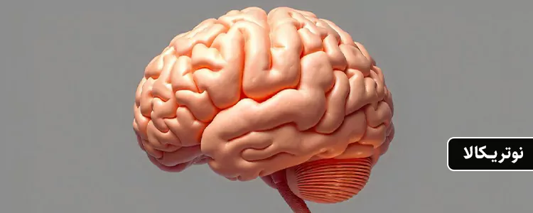 مکمل Alpha GPC از برند Jarrow Formulas