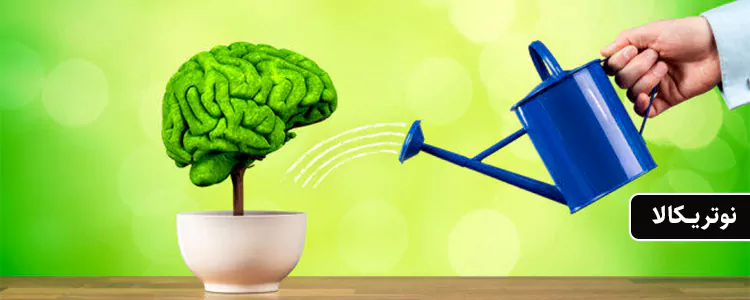 مکمل Citicoline CDP Choline از برند Jarrow Formulas