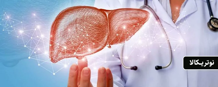 مکمل N-A-C Sustain از برند Jarrow Formulas