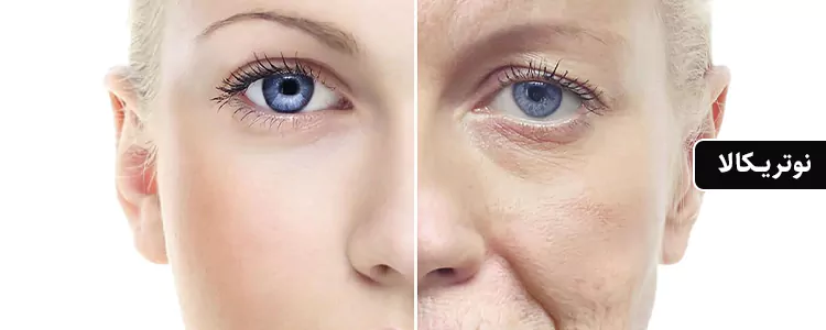 مکمل Type II Collagen Complex از برند Jarrow Formulas