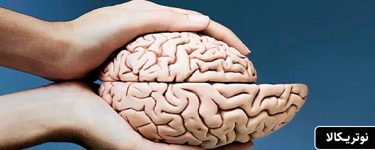 مکمل Methyl B-12 Methyl Folate Lemon از برند Jarrow Formulas