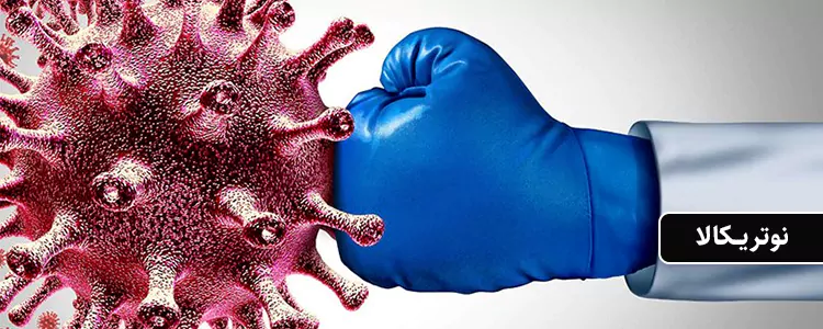 مکمل Ultimate Omega-D3 Minis با طعم لیمو از برند Nordic Naturals