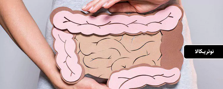 مکمل PyloGuard از برند Microbiome Labs