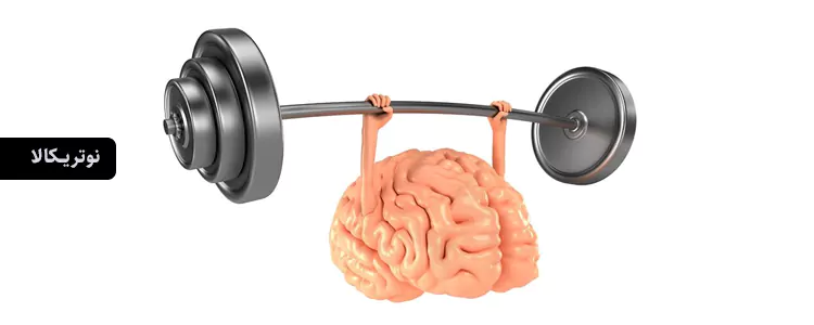 مکمل Universal Nootropic از برند Mind Lab Pro