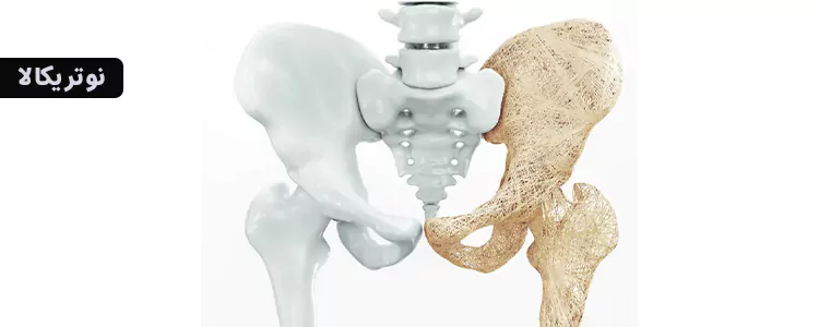 مکمل Multi Collagen Protein از برند Codeage