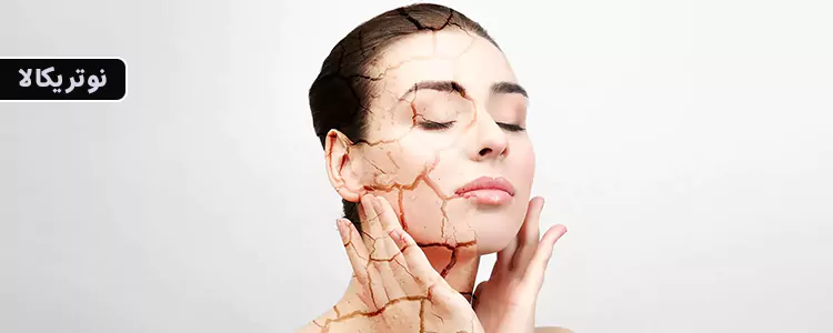 مکمل TriaMit-B از برند mse Pharmazeutika GmbH